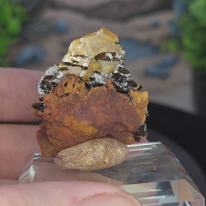 Wulfenite - Erupción-Ahumada Mine, Mexico