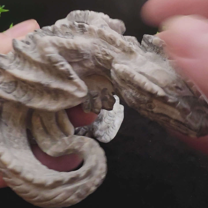 Sleeping Dragon Carvings - Picasso Jasper - 4in