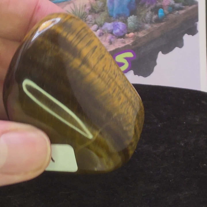 Polished Tiger's Eye freeform showcasing golden chatoyancy and smooth surface, perfect for collectors.