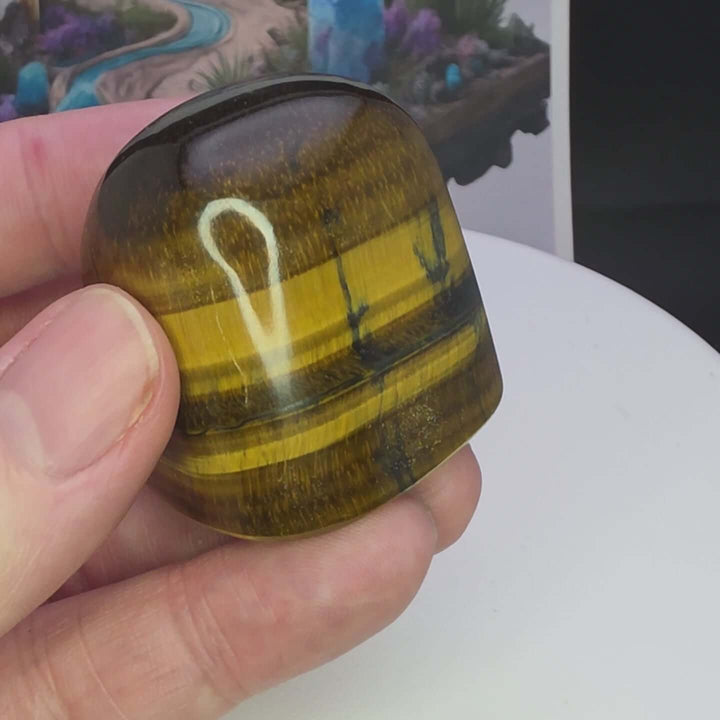Polished Tiger's Eye freeform showcasing golden chatoyancy and smooth texture, held in a hand.