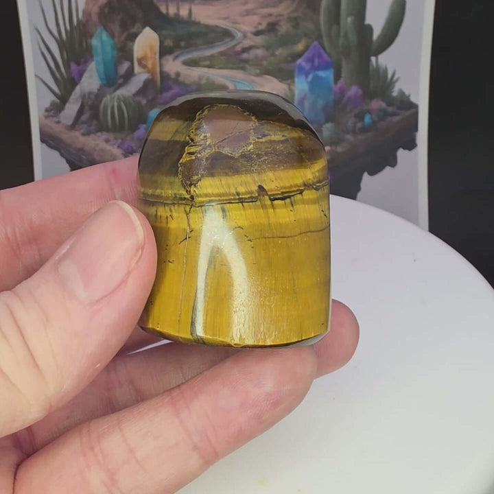 Hand holding a polished Tiger's Eye freeform showing golden color and shimmering chatoyancy.