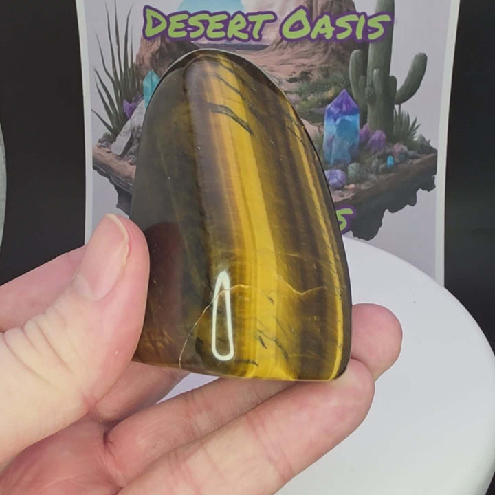 Polished Tiger's Eye freeform stone showcasing golden color and chatoyancy, held in a hand against a Desert Oasis backdrop.