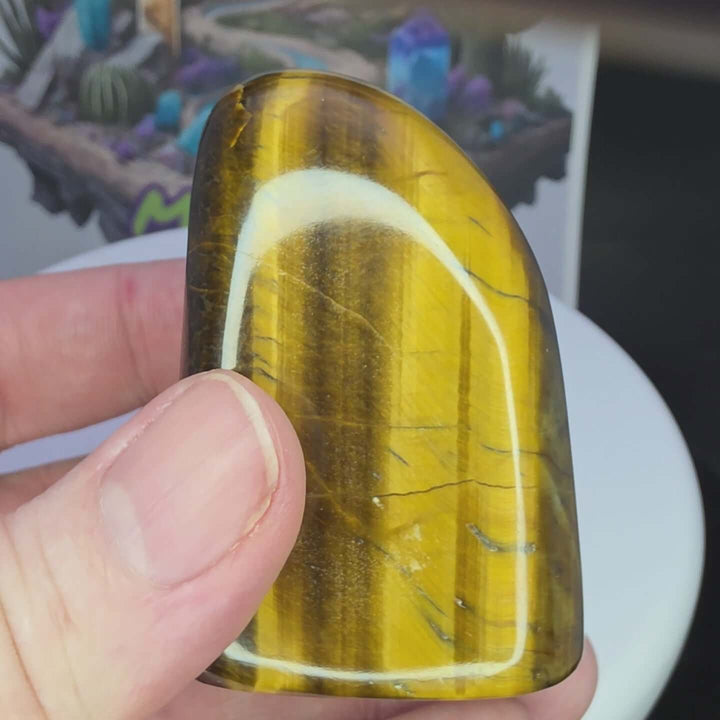 Polished Tiger's Eye freeform showcasing golden color and chatoyancy in hand.