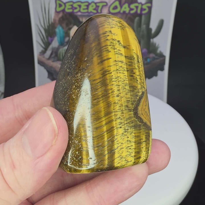 Polished Tiger's Eye freeform with vibrant golden hues and chatoyancy shimmer held in hand.