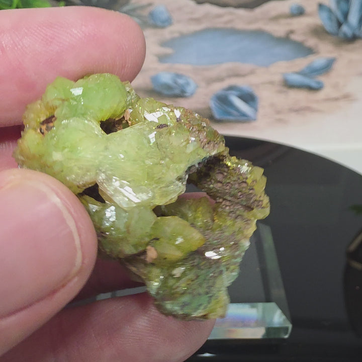 Vibrant Adamite Specimen from Ojuéla Mine exhibiting glowing green crystal formations.