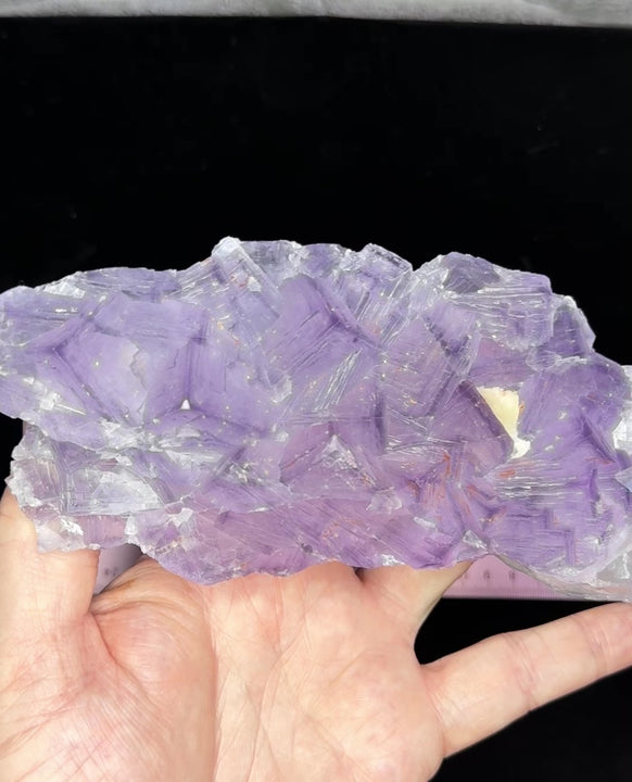 El Filo Fluorite - Mexico