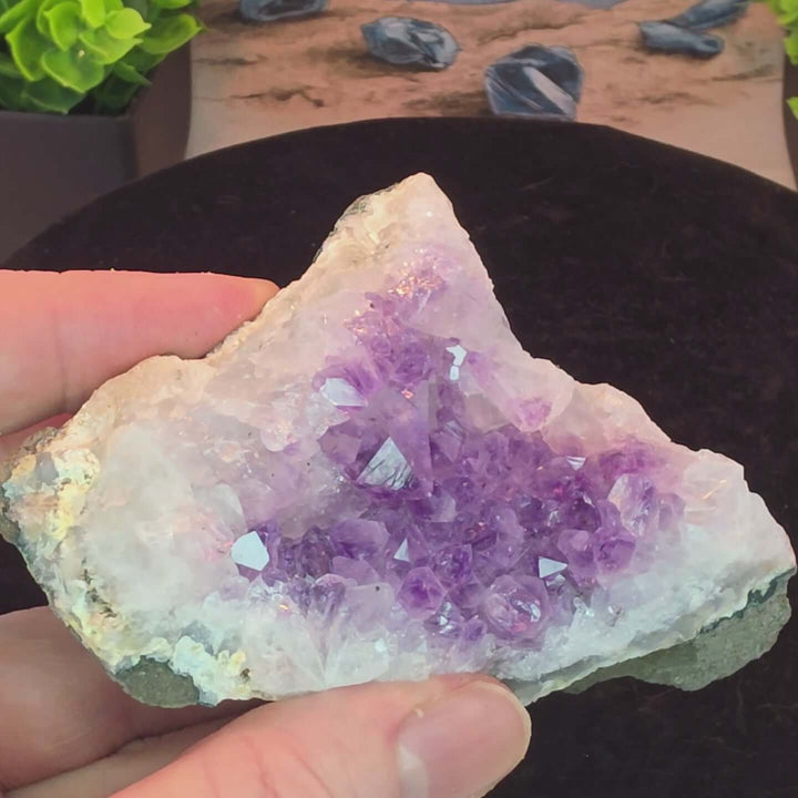 Experience the magic of nature with our exquisite Amethyst Geode Cluster! This stunning piece boasts a captivating array of extremely sparkly, brilliant clear purple crystals that shimmer with every turn. Perfect as a dazzling display piece for your home