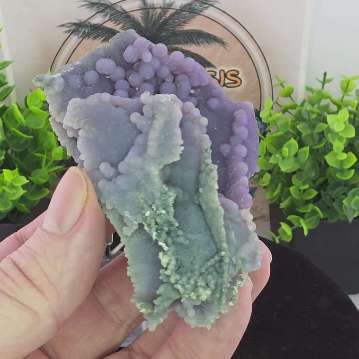 Discover the unique beauty of ‘Grape Agate’, an Amethystine Spherical Quartz found in Indonesia. This gemstone is known for its grape-like clusters and vibrant colors. Stand is included with purchase