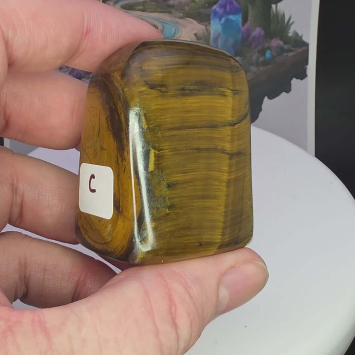 Polished Tiger's Eye freeform showcasing golden chatoyancy and smooth surface, held in hand.