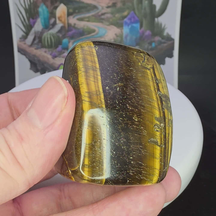 Polished Tiger's Eye freeform showcasing stunning golden chatoyancy and smooth texture held in hand.