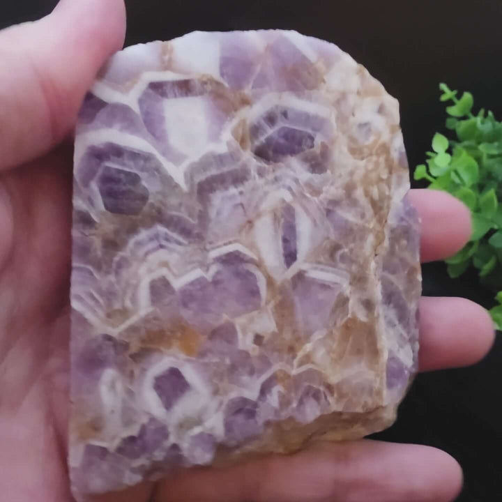 Chevron Dream Amethyst Slab /Slice