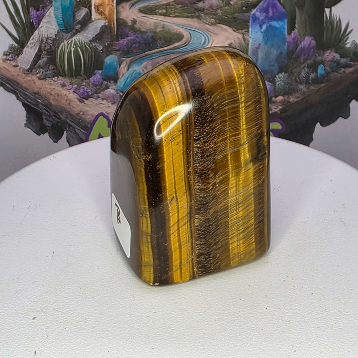 Polished Tiger's Eye freeform with golden chatoyancy, showcasing its striking shimmer and unique shape.