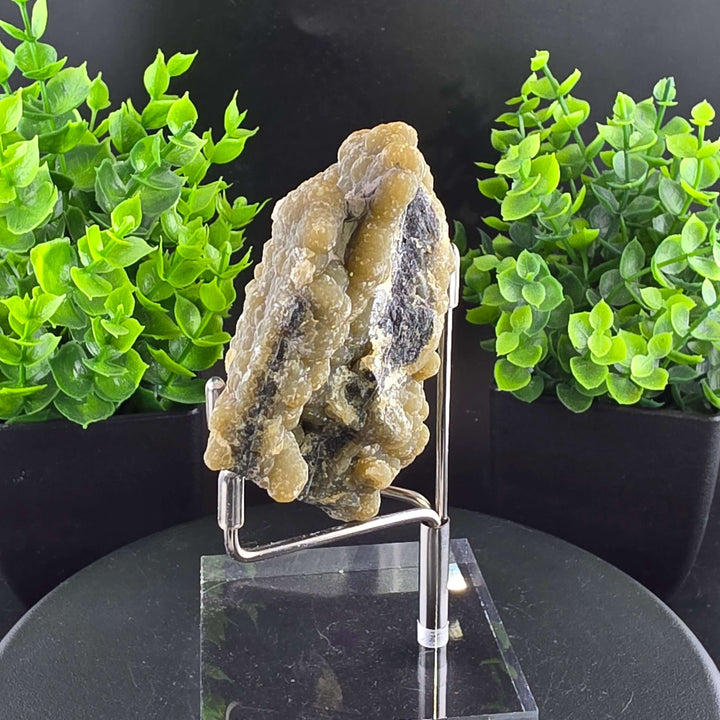 Smithsonite Specimen from Ojuela Mine