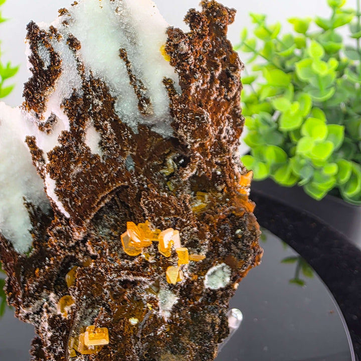 Wulfenite - Erupción-Ahumada Mine, Mexico