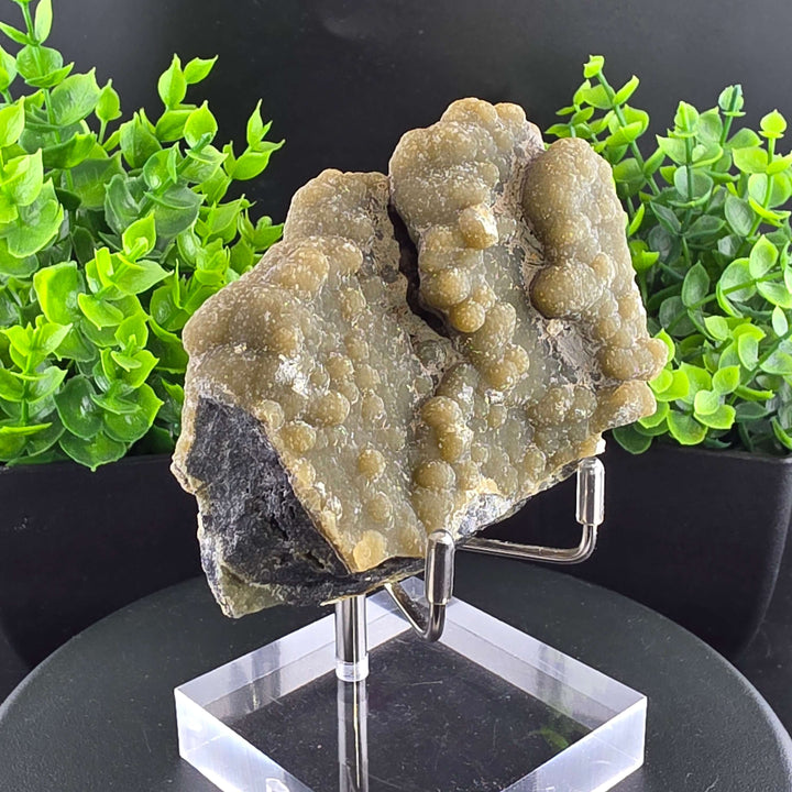 Smithsonite Specimen from Ojuela Mine