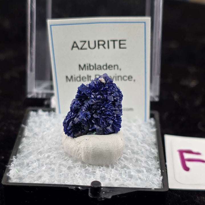 We're thrilled to offer a new selection of Azurite specimens, each mounted within an acrylic "Perky" display box for optimal protection and viewing. These exceptional pieces originate from the renowned Mibladen mining district in Morocco, an area well-kno