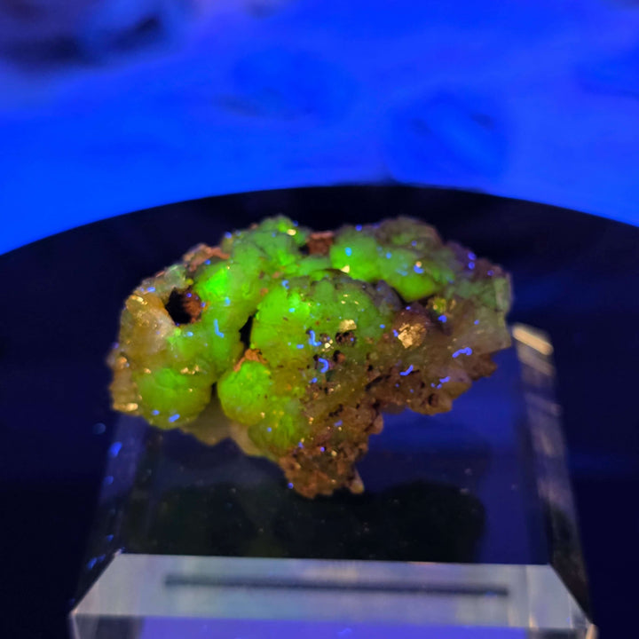 Vibrant Adamite Specimen from Ojuéla Mine exhibiting glowing green crystal formations.