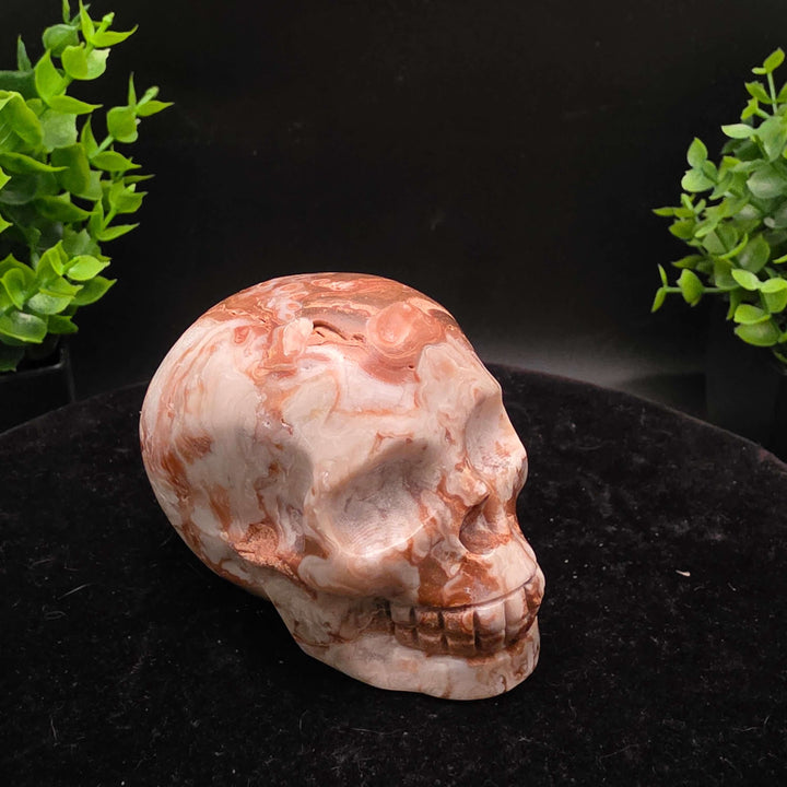 Amber Calcite Skull Carvings - 3 Inch - Stunning hand-carved skulls showcasing warm honey and caramel colors.