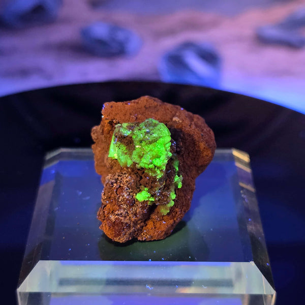 Vibrant Adamite Specimen from Ojuéla Mine exhibiting glowing green crystal formations.