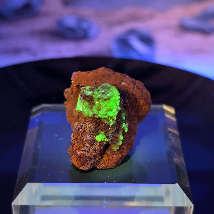 Vibrant Adamite Specimen from Ojuéla Mine exhibiting glowing green crystal formations.