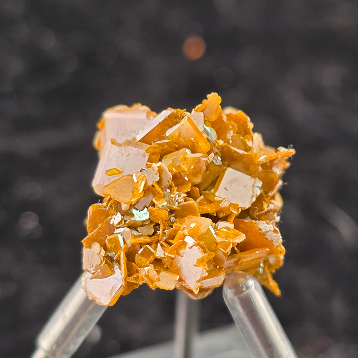 Vibrant Wulfenite specimen from Erupción-Ahumada Mine, Mexico, showcasing classic tetragonal crystal habit.