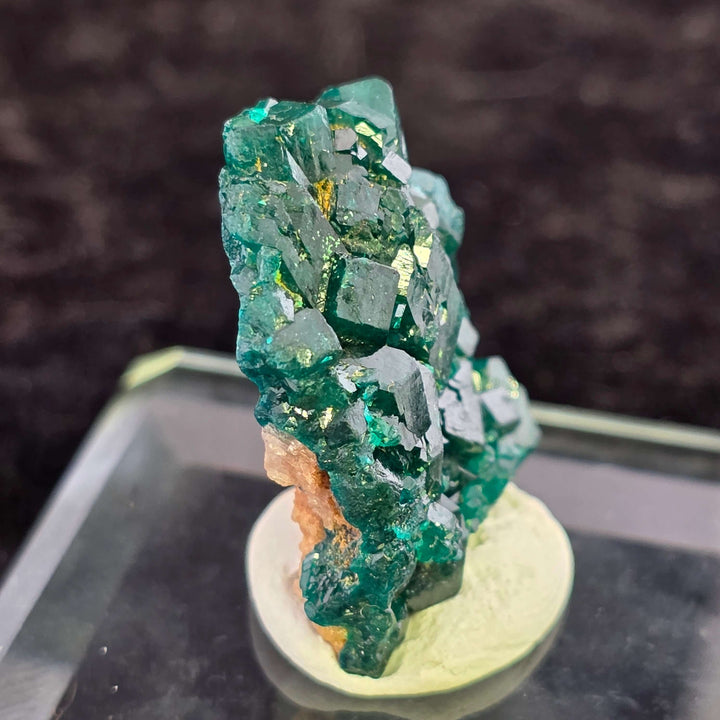 Striking emerald green Dioptase specimen from Congo with well-formed crystals and good luster.