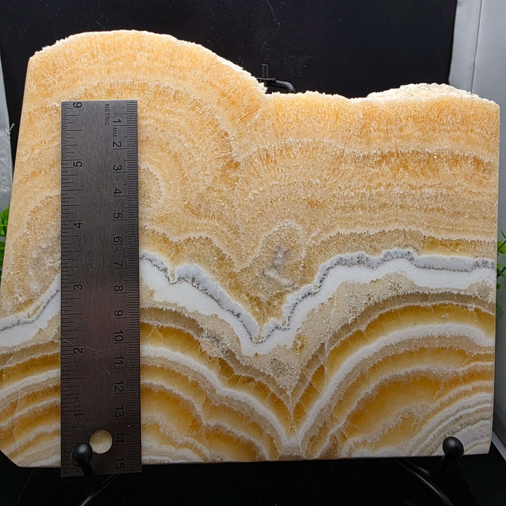 Yellow Banded Calcite Slab / Slice