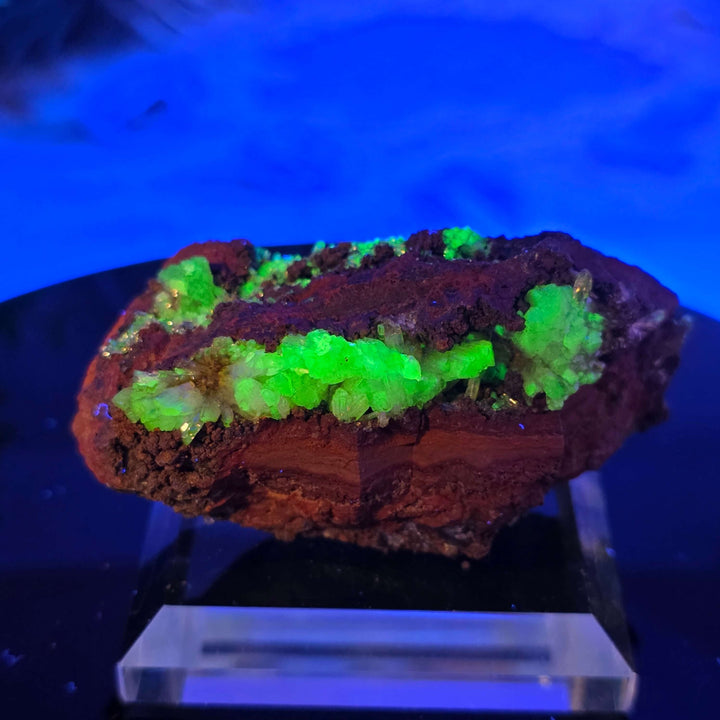 Adamite Specimen: Ojuéla Mine Collector’s Crystal showcasing vibrant green crystal formations.