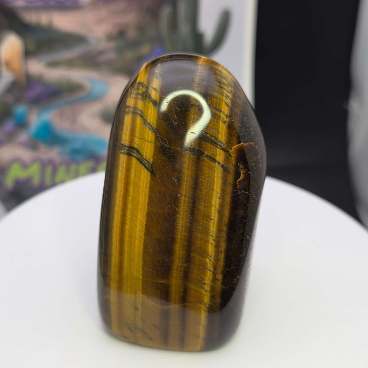 Polished Tiger's Eye freeform showcasing golden color and chatoyancy, perfect for collectors and crystal enthusiasts.