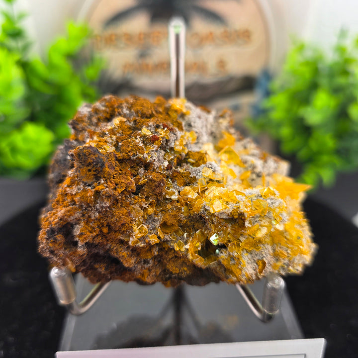 Vibrant Wulfenite specimen from Erupción-Ahumada Mine, Mexico showcasing classic tetragonal crystal habit.