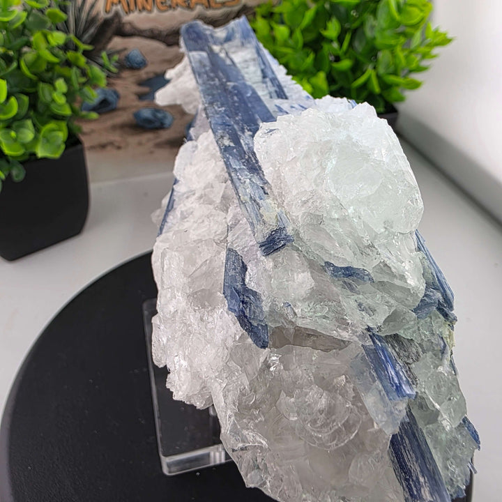 Blue Kyanite - Brazil