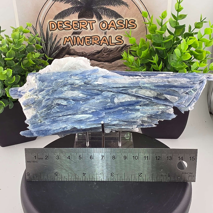 Blue Kyanite - Brazil