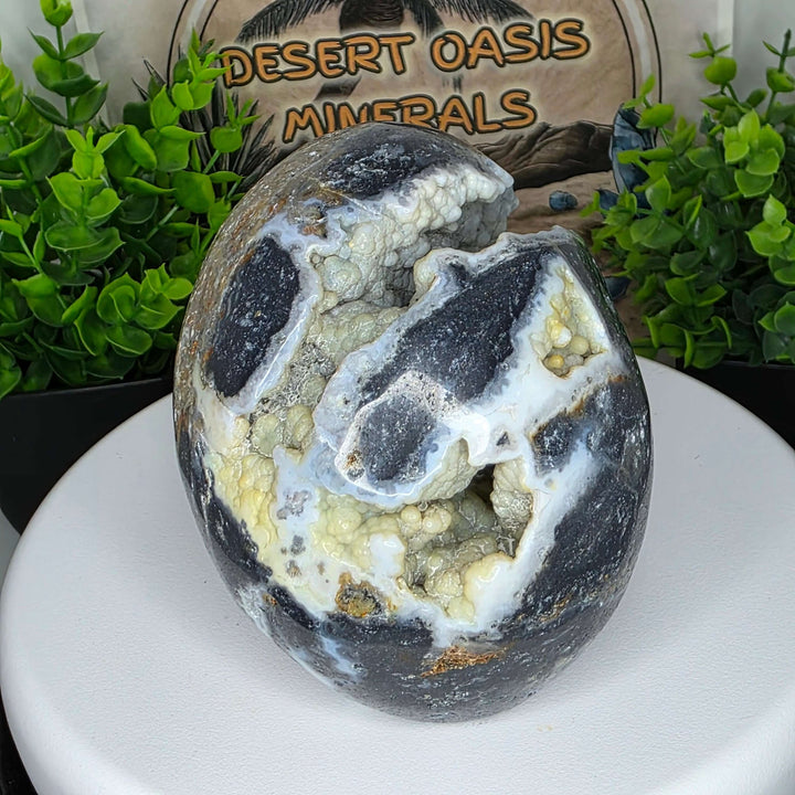 Jasper Skull Carving - 4 inch