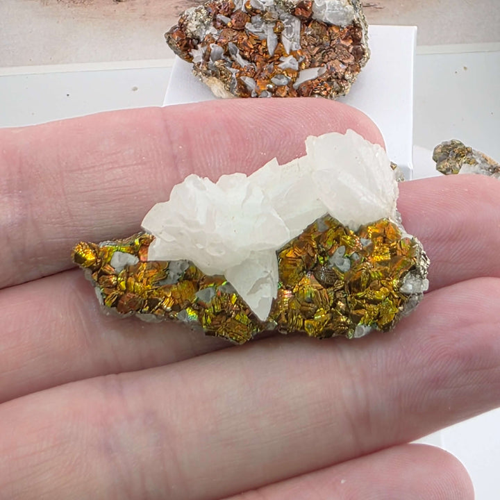 Iridescent Marcasite on Mangano Calcite