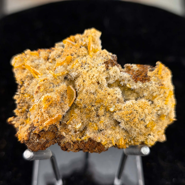 Vibrant Wulfenite specimen from the Erupción-Ahumada Mine, showcasing rich yellow crystals.
