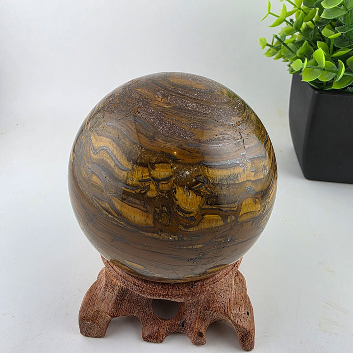 Tiger Iron Polished Sphere Ball - 3.2 Inch displayed on a wooden stand with decorative plants in the background.