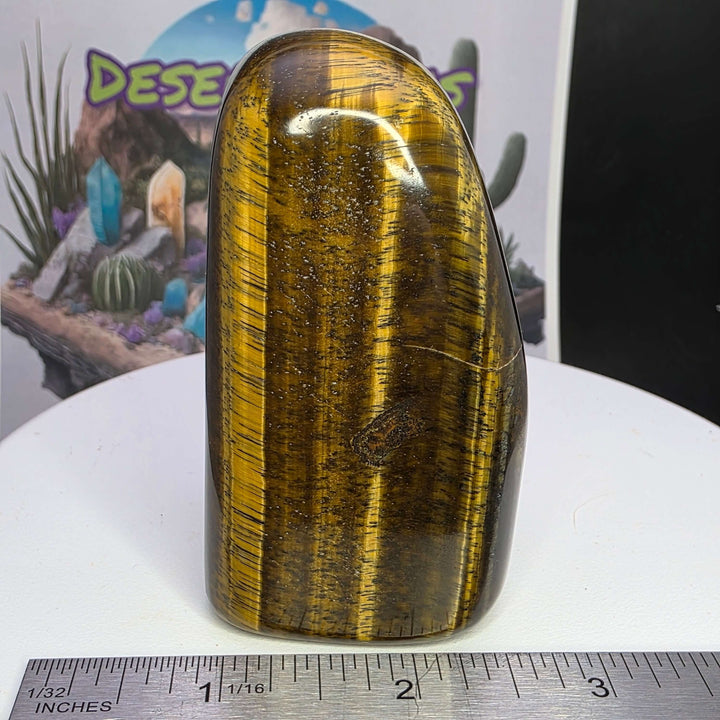 Polished Tiger's Eye freeform displaying vibrant golden bands and chatoyancy shimmering in light.