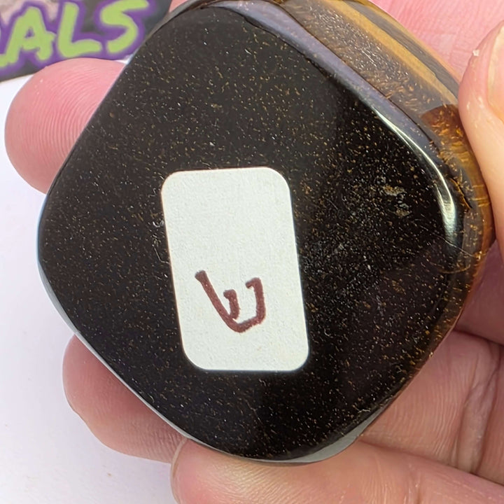 Polished Tiger's Eye Freeform (E)