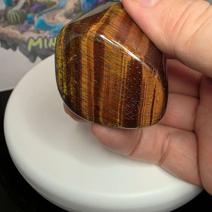 Person holding a polished Red Tiger's Eye freeform stone displaying reddish-brown stripes and shiny surface.