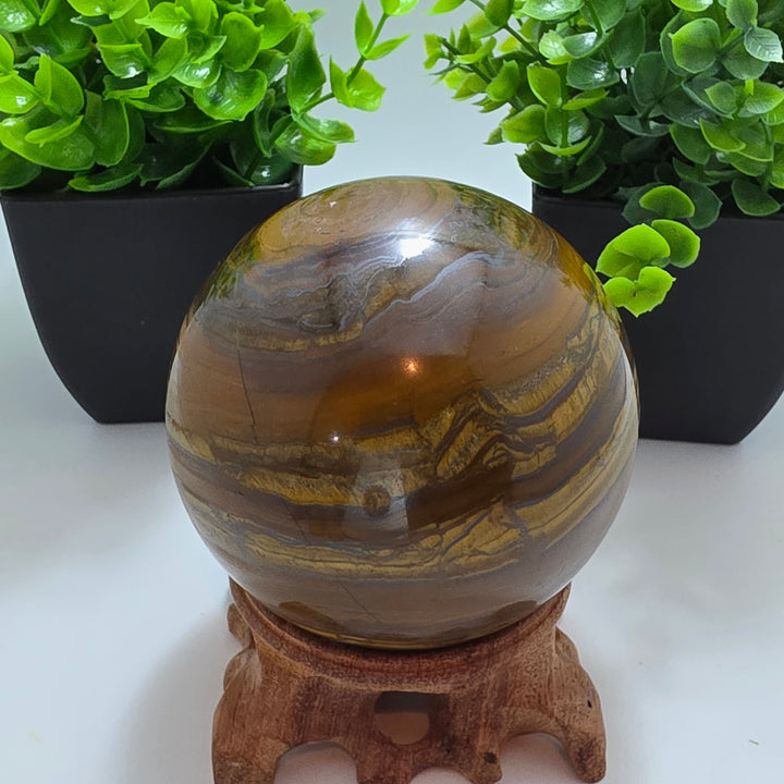 Tiger Iron Polished Sphere Ball - 3.2 Inch displayed on a wooden stand with decorative plants in the background.