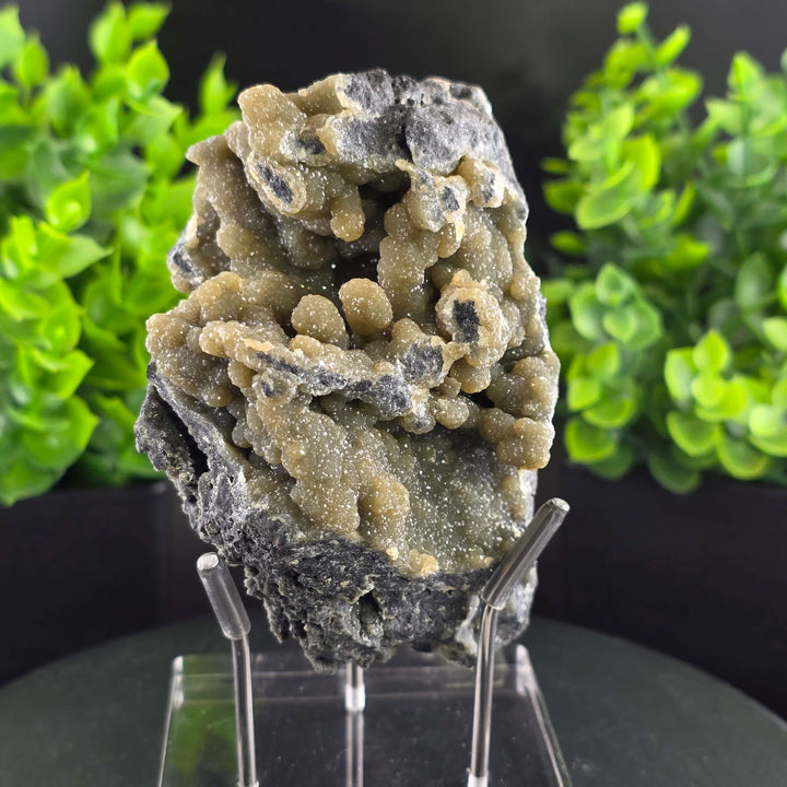 Smithsonite Specimen from Ojuela Mine