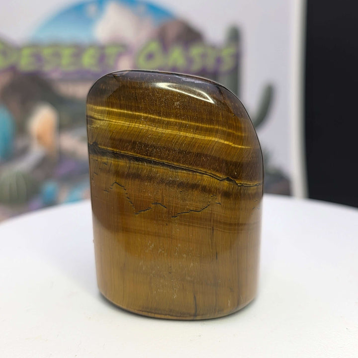Polished Tiger's Eye freeform showcasing golden chatoyancy and smooth surface, set against a vibrant background.