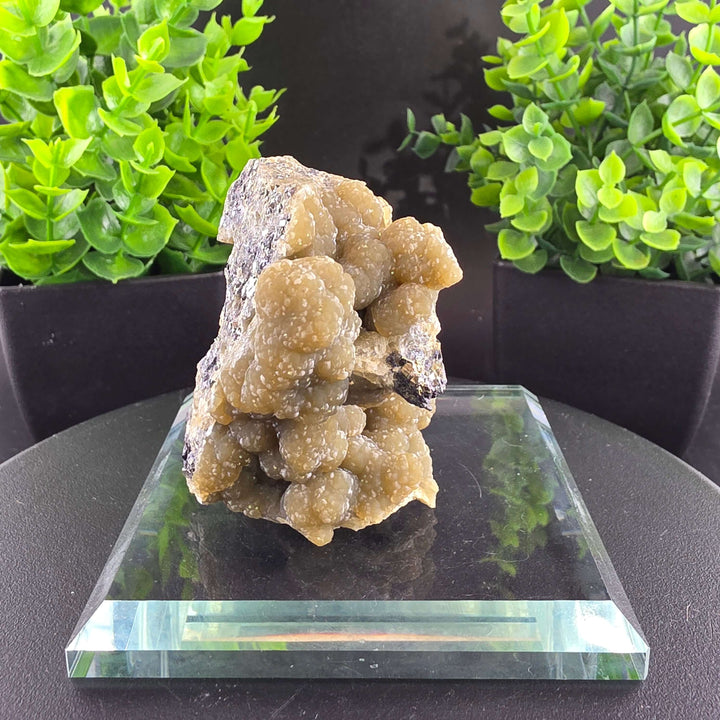 Smithsonite Specimen from Ojuela Mine