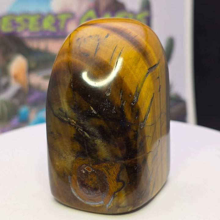 Polished Tiger's Eye freeform display showcasing golden chatoyancy and smooth surface.