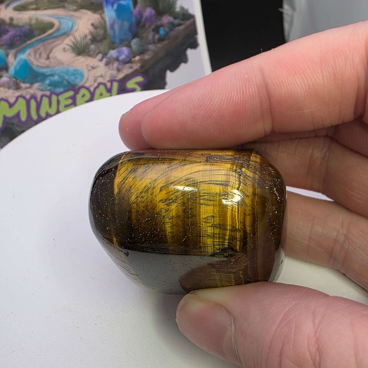 Hand holding a polished Tiger's Eye freeform stone showcasing its shimmering golden chatoyancy.