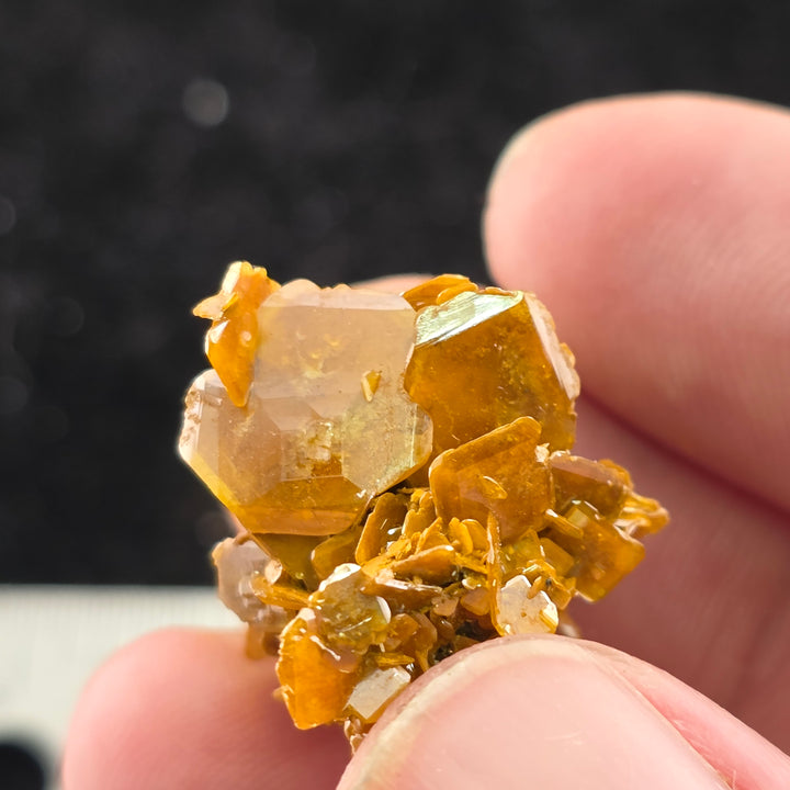 Vibrant Wulfenite specimen from Erupción-Ahumada Mine, showcasing its tetragonal crystal habit.