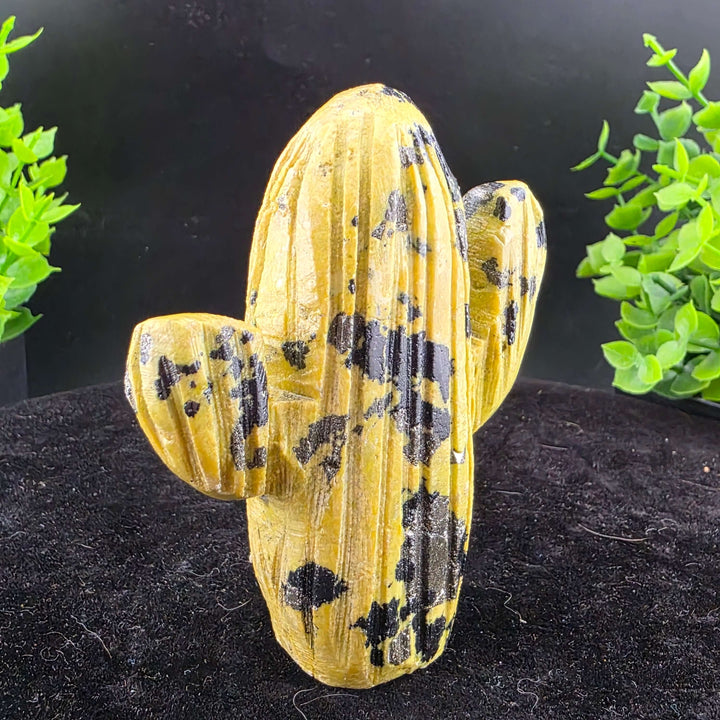 Saguaro Cactus Carving from Peru