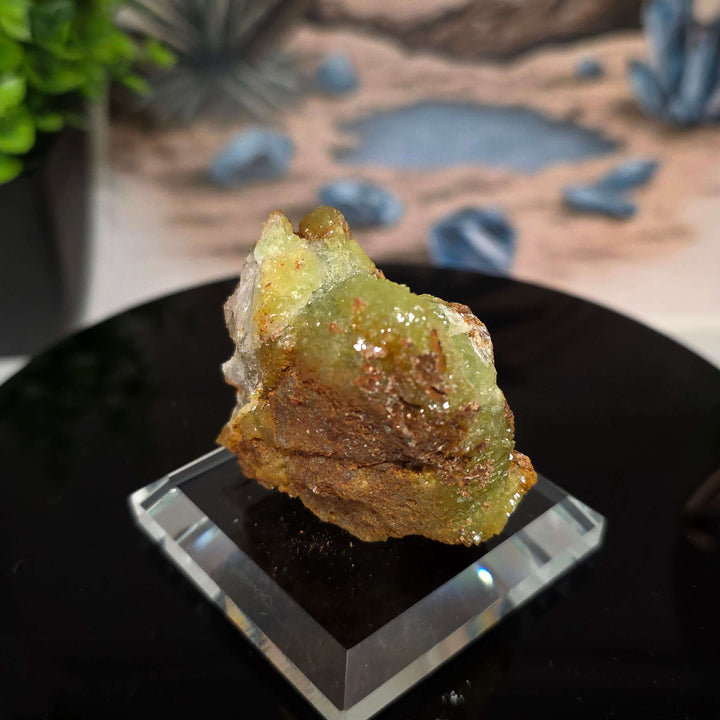 Vibrant Adamite Specimen from Ojuéla Mine exhibiting glowing green crystal formations.