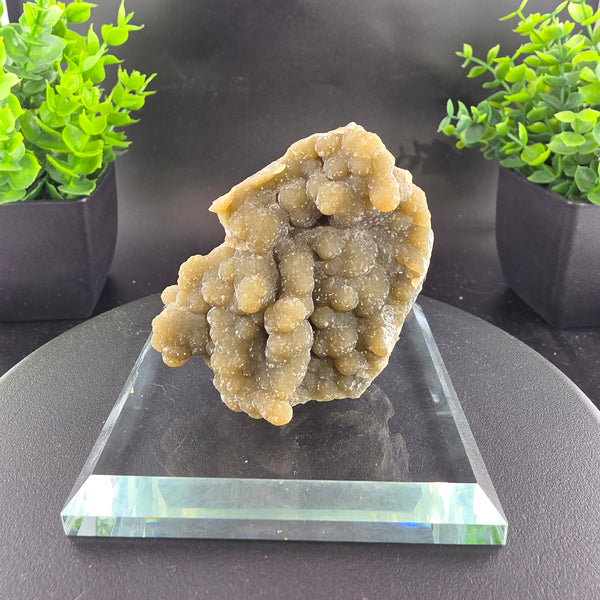 Smithsonite Specimen from Ojuela Mine