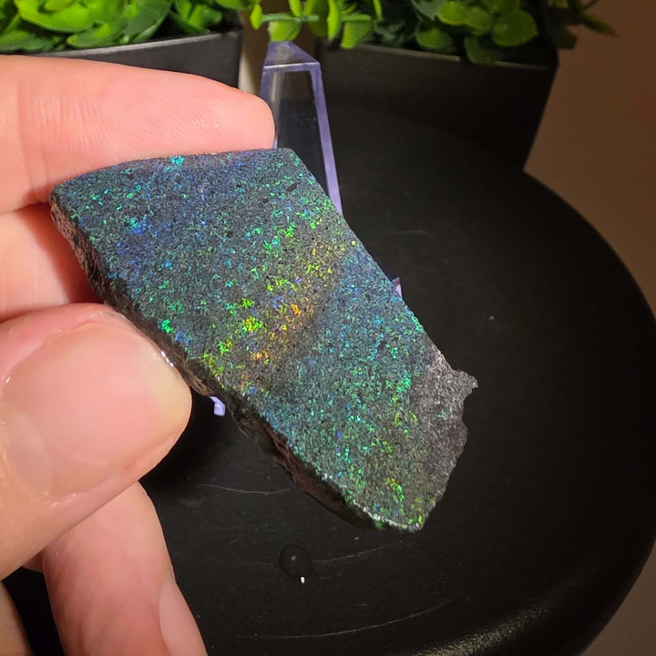 Andamooka Matrix Opal Slab Slice showcasing vibrant colors and natural matrix texture in wet condition